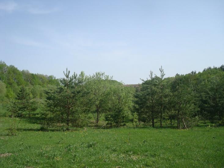 Любомирівка з panoramio.com - Любомировка
