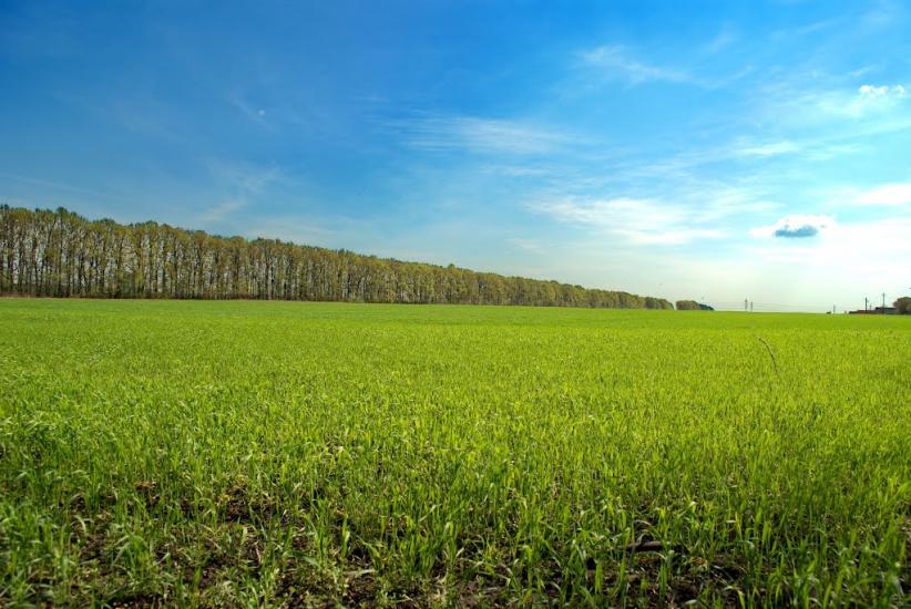 Клітчин з panoramio.com - Клетчин