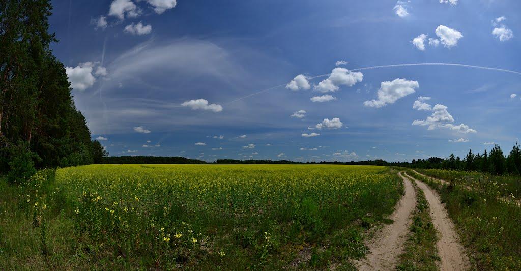 Тополівка з panoramio.com - Тополівка