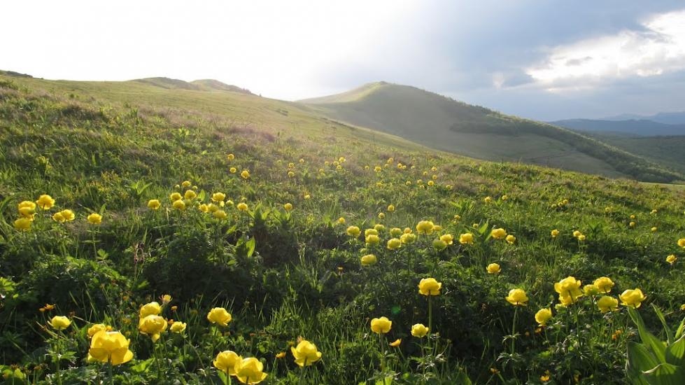 Буковець з panoramio.com - Буковец