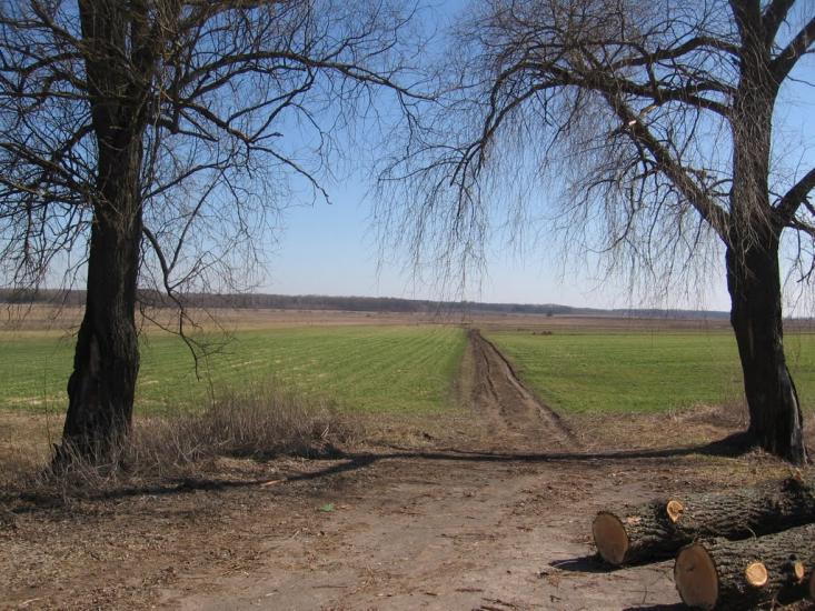 Петрушин з panoramio.com - Петрушин