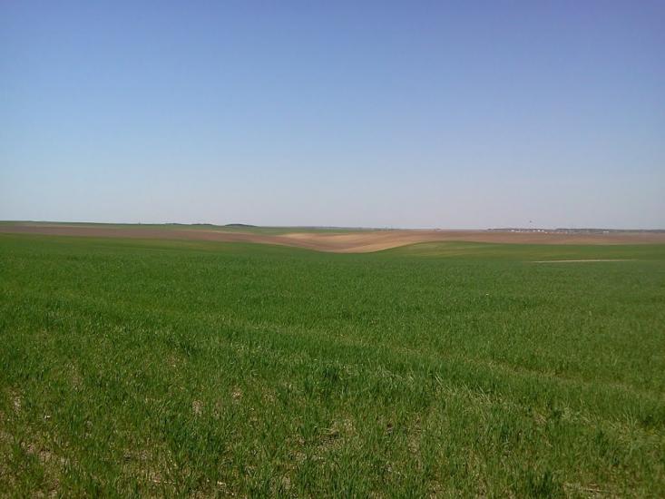 Великий Омеляник з panoramio.com - Великий Омеляник