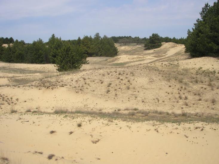 Раденськ з panoramio.com - Раденск