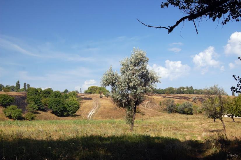 Біла Гора з panoramio.com - Bila Gora