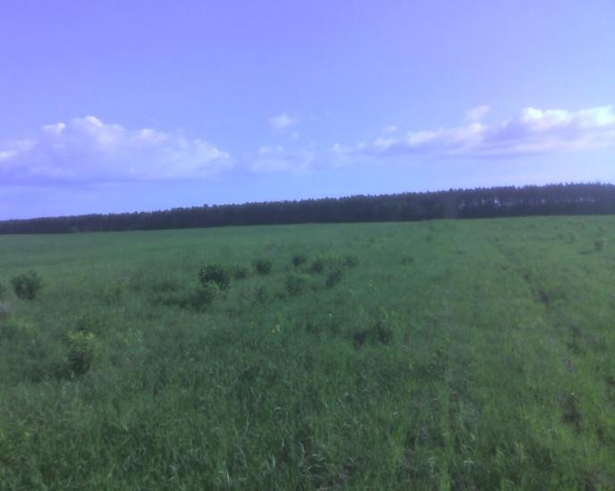 Головлі з panoramio.com - Головли