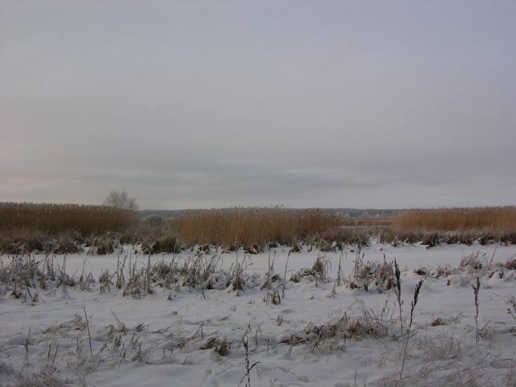 Крейдянка з panoramio.com - Крейдянка