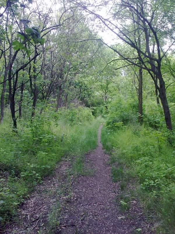 Фабричне з panoramio.com - Фабричне