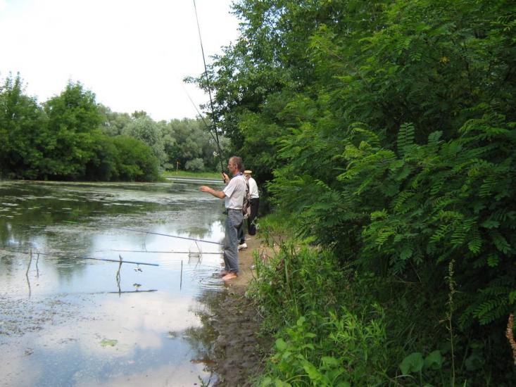 Самусіївка з panoramio.com - Самусевка
