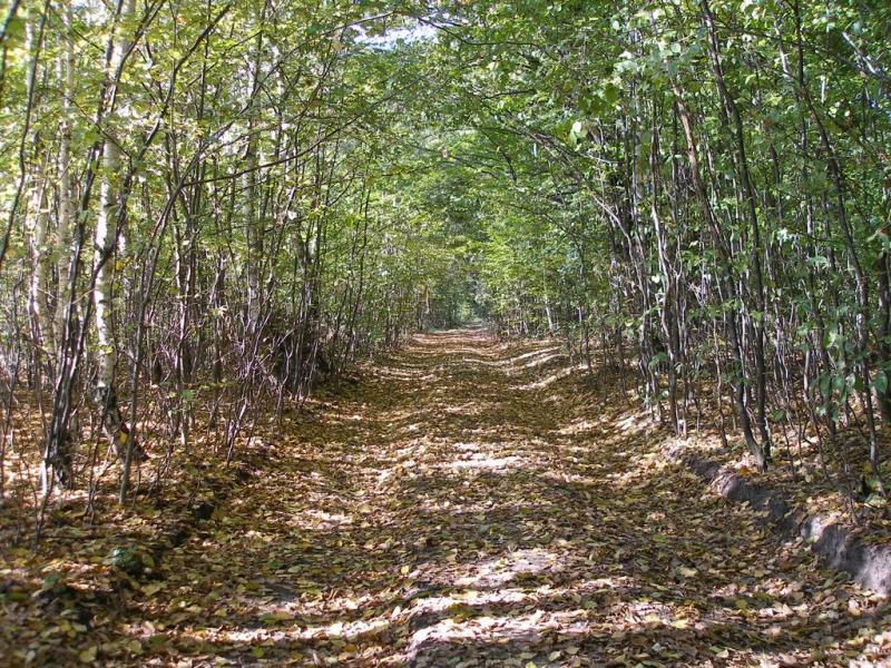 Маньківка з panoramio.com - Маньківка