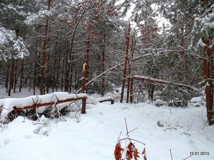 Забір'я з panoramio.com - Zabirya