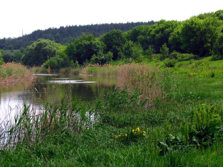 Широке з panoramio.com - Широкое