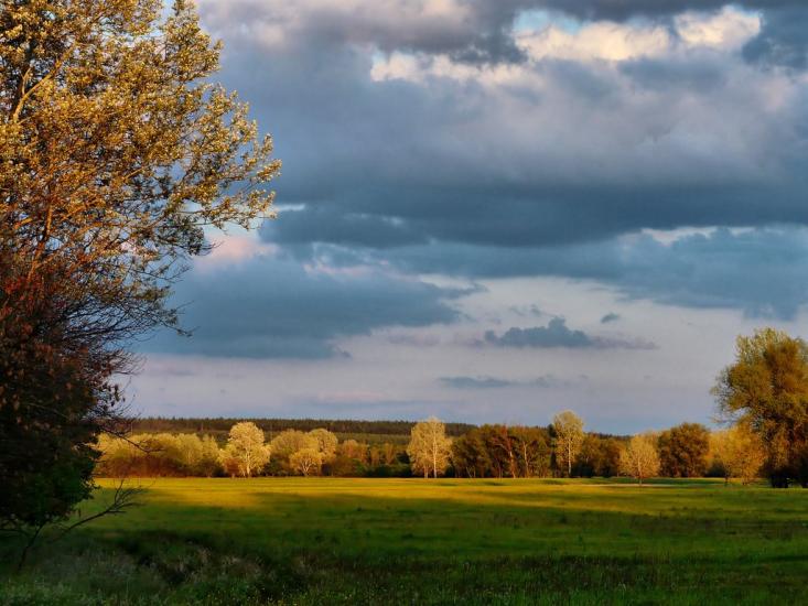 Слов'яносербськ з panoramio.com - Славяносербск