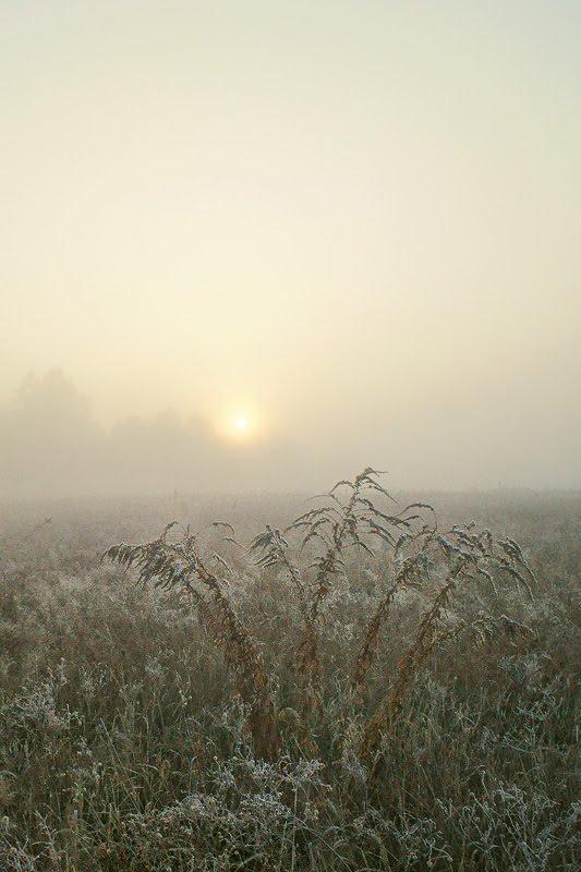 Мала Стариця з panoramio.com - Мала Стариця