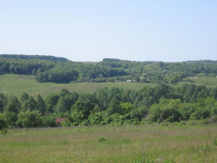 Таранівка з panoramio.com - Тарановка