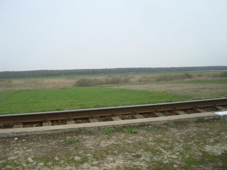 Росолівці з panoramio.com - Росолівці