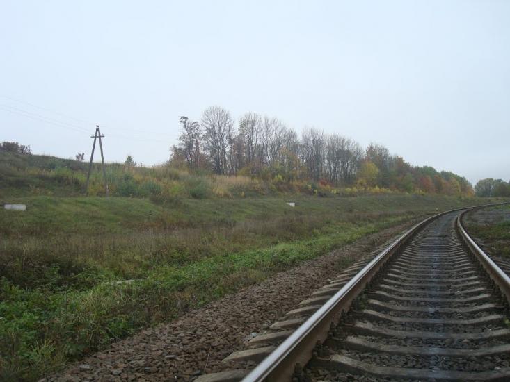 Малиничі з panoramio.com - Малиничи