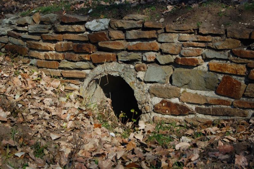 Борівське з panoramio.com - Борівське