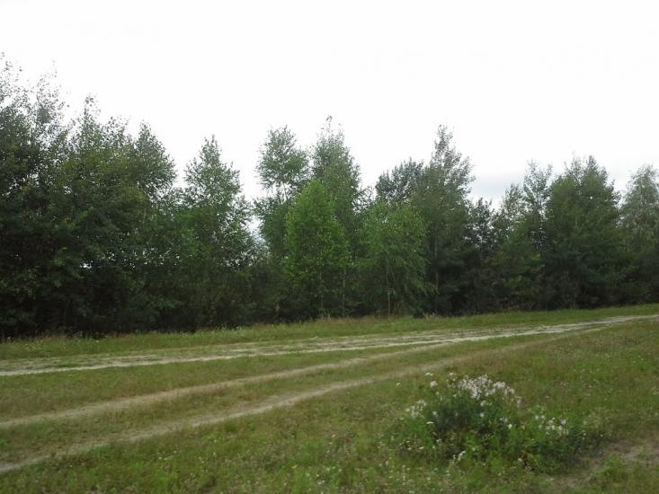 Вирка з panoramio.com - Вырка