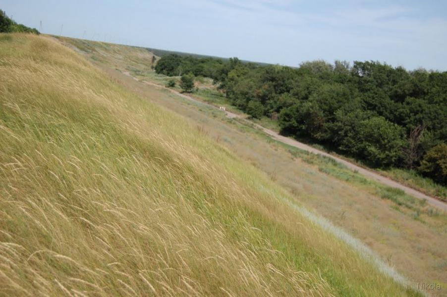 Сиротине з panoramio.com - Syrotyne