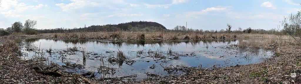 Чернеччина з panoramio.com - Чернеччина