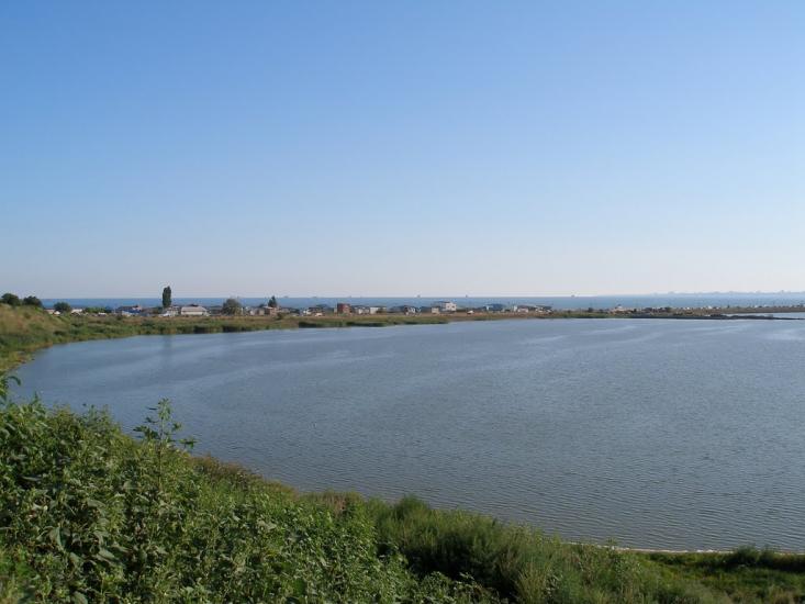 Нова Дофінівка з panoramio.com - Новая Дофиновка