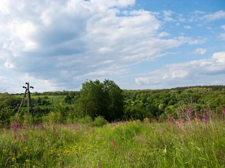 Луковиця з panoramio.com - Луковица