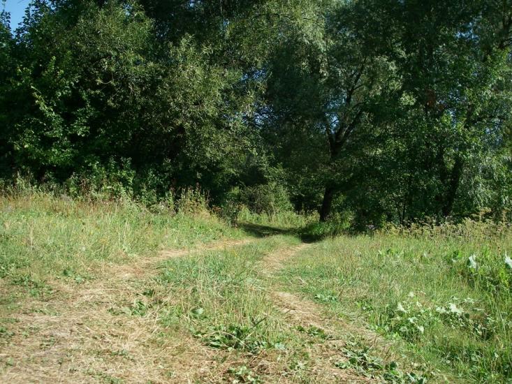 Хорол з panoramio.com - Хорол