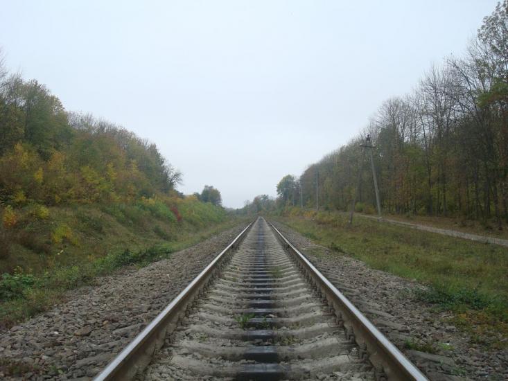 Малиничі з panoramio.com - Малиничи