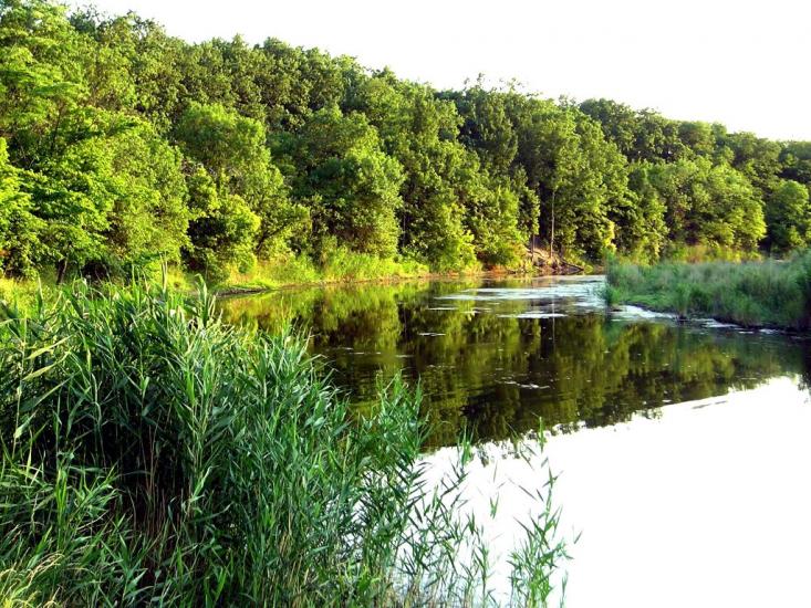 Новопилипівка з panoramio.com - Новопилиповка