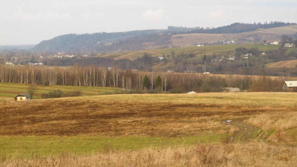 Бабче з panoramio.com - Бабче