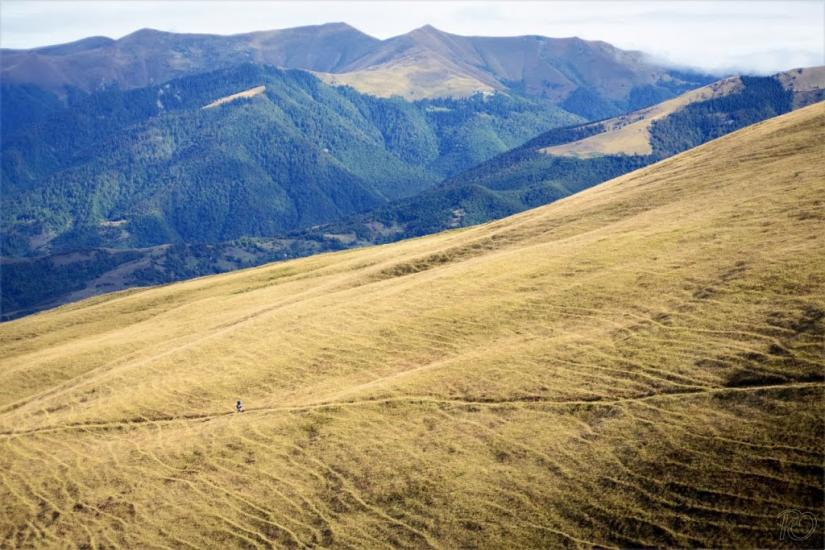 Мерешор з panoramio.com - Мерешор