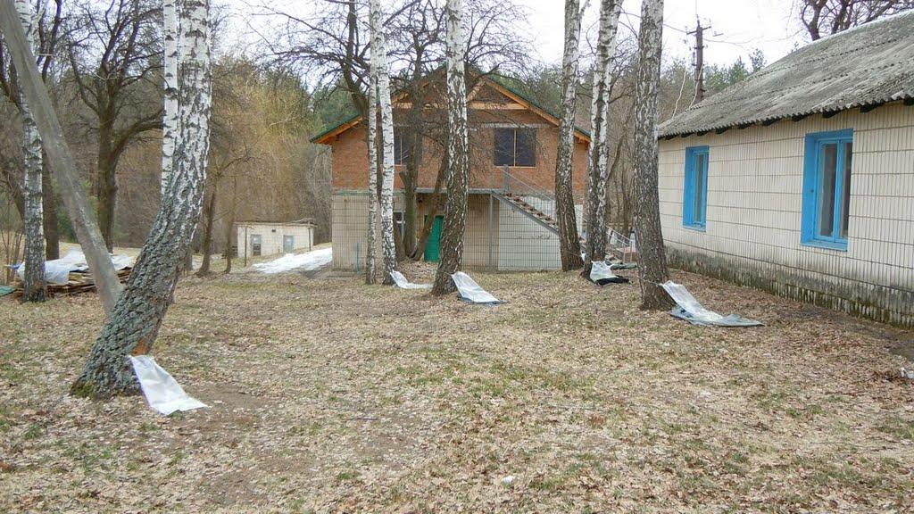 Битиця з panoramio.com - Битица