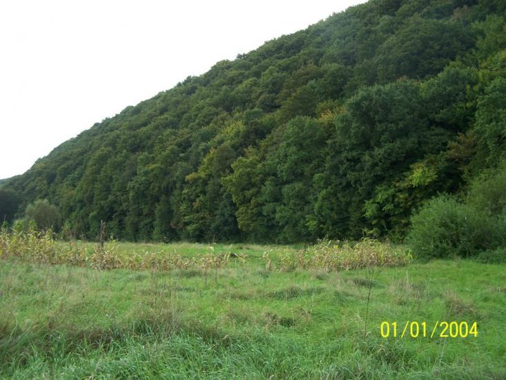 Старе Село з panoramio.com - Старое Село