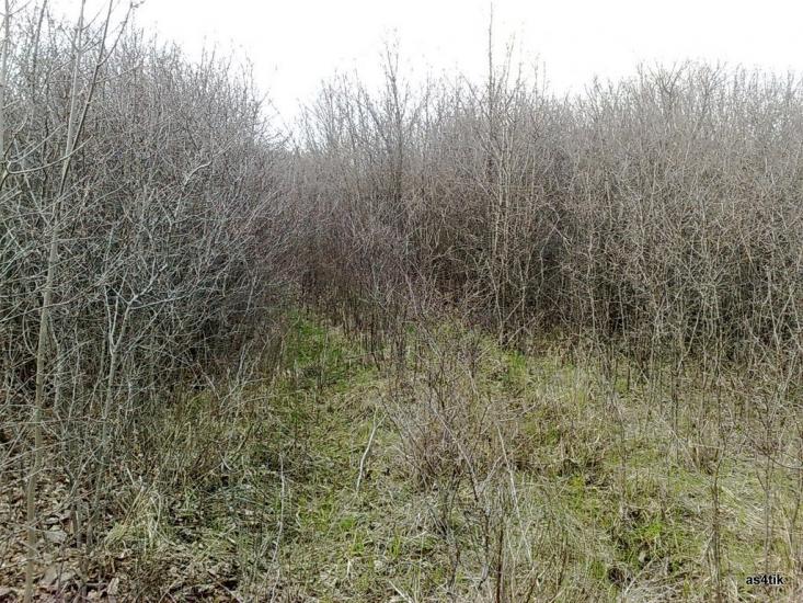 Щастя з panoramio.com - Счастье
