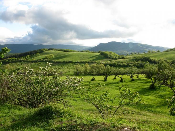 Сонячносілля з panoramio.com - Солнечноселье