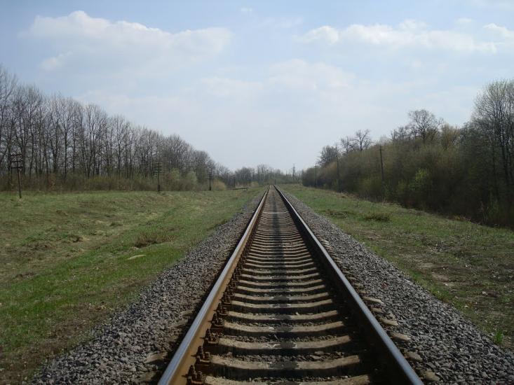 Красівка з panoramio.com - Красовка