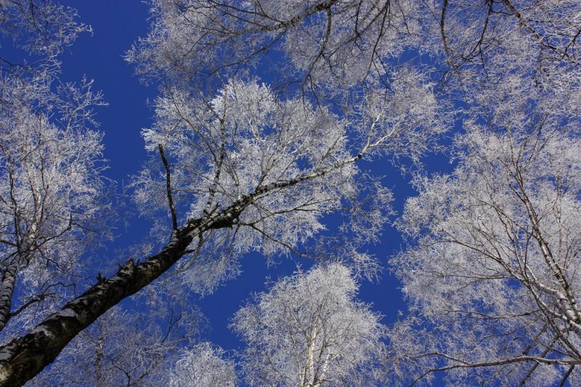 Суховоля з panoramio.com - Sukhovolya