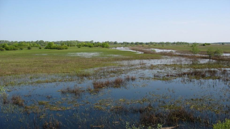Буняківка з panoramio.com - Буняківка