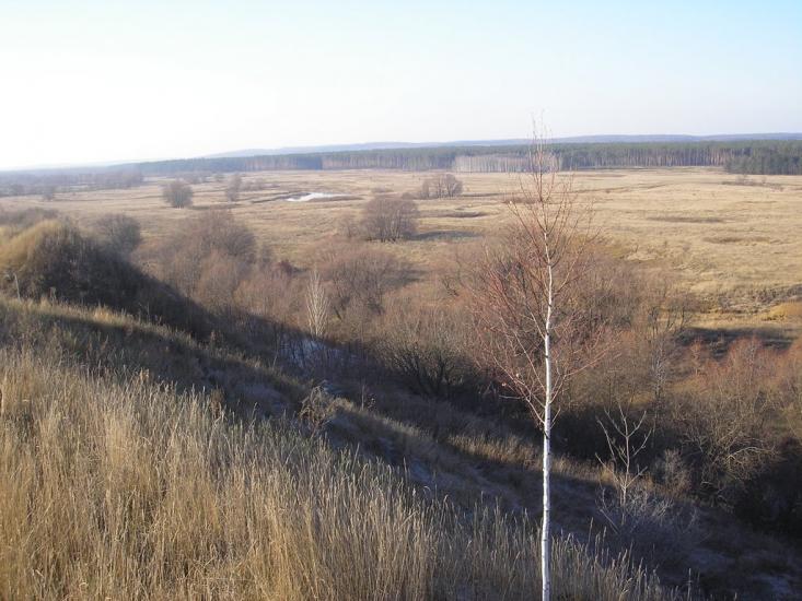 Грунівка з panoramio.com - Груновка