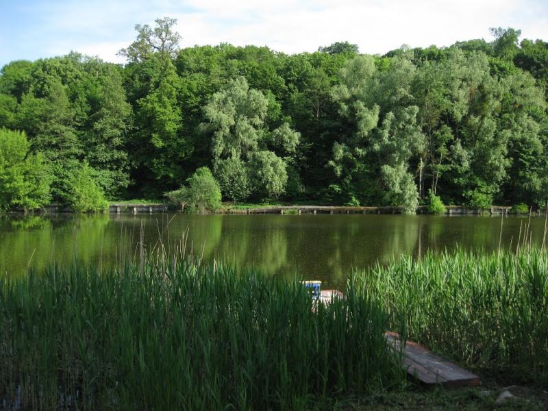 Новосілки з panoramio.com - Новоселки