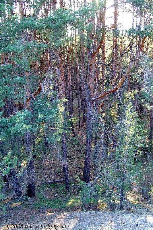 Великі Копані з panoramio.com - Великие Копани