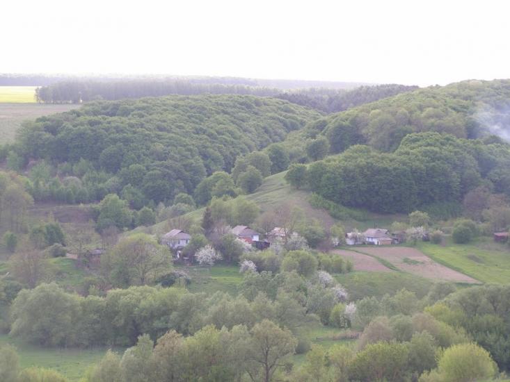 Черкасівка з panoramio.com - Черкасівка