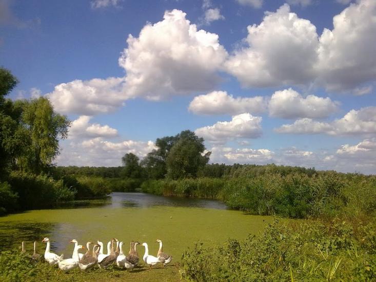 Піщанівка з panoramio.com - Песчановка