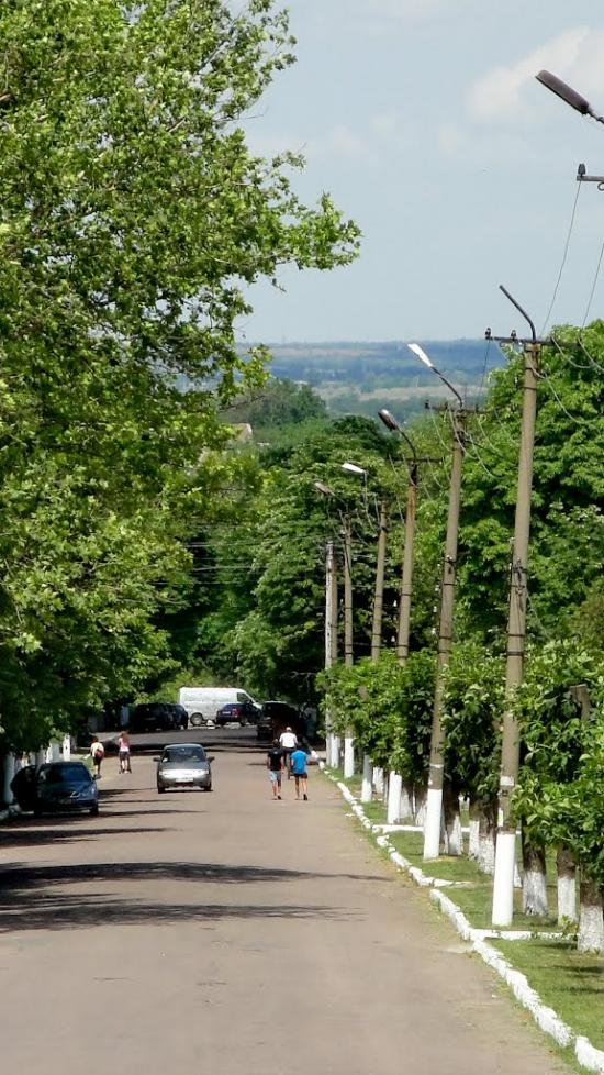 Нововоронцовка з panoramio.com - Novovorontsovka