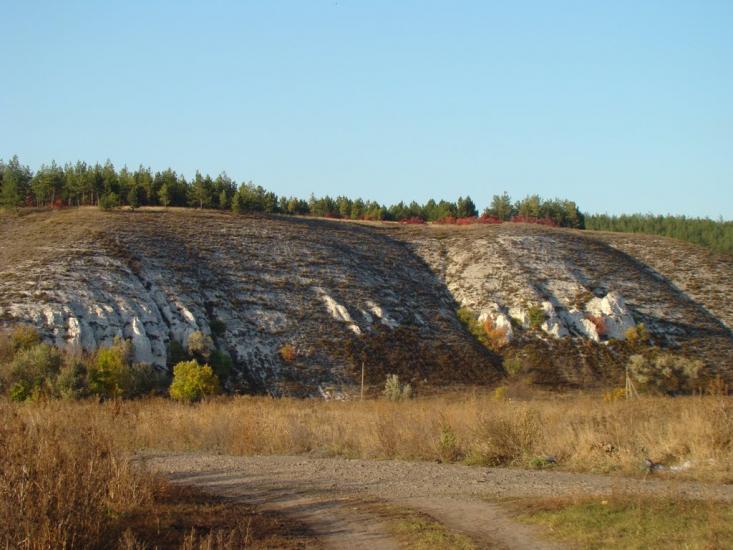 Василівська Пустош з panoramio.com - Василівська Пустош