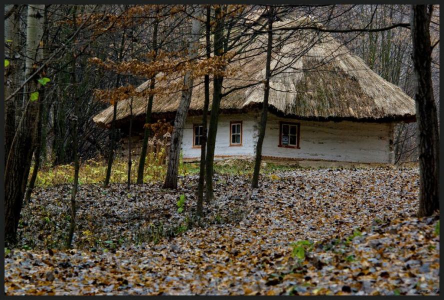 Новосілки з panoramio.com - Новоселки