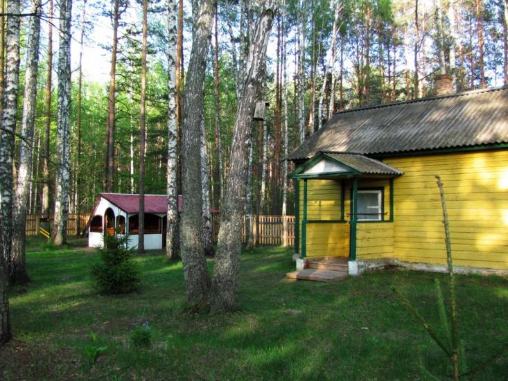 Нові Яриловичі з panoramio.com - Новые Ярыловичи