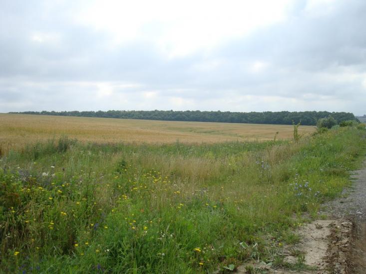 Шаровечка з panoramio.com - Sharovechka