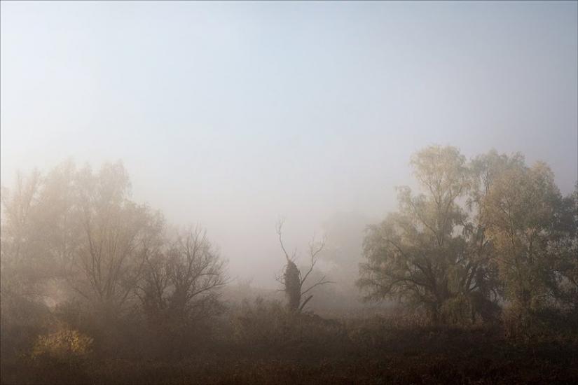Мала Стариця з panoramio.com - Мала Стариця
