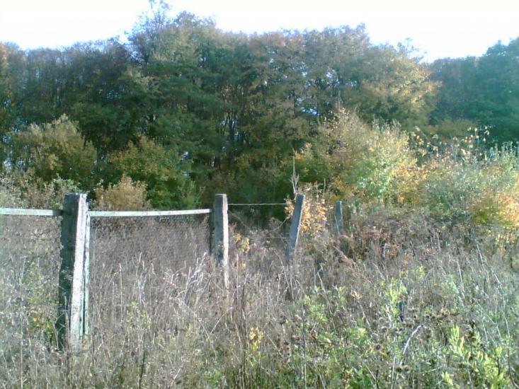 Колибань з panoramio.com - Колыбань